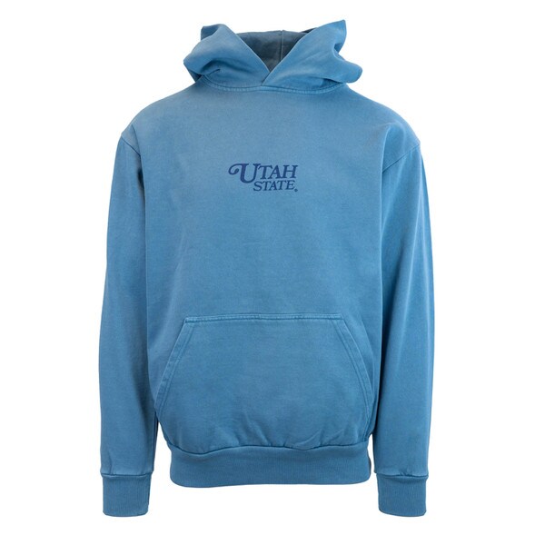 Tys Dyes Big Blue Unisex Hoodie Blue